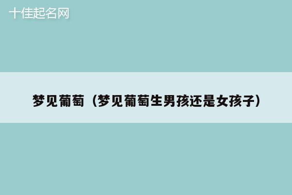 梦见葡萄（梦见葡萄生男孩还是女孩子）