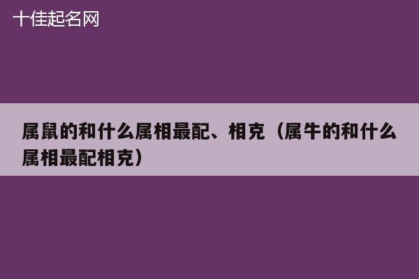 属鼠的和什么属相最配、相克（属牛的和什么属相最配相克）