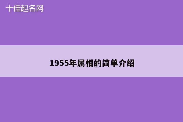 1955年属相的简单介绍