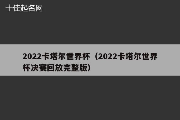 2022卡塔尔世界杯（2022卡塔尔世界杯决赛回放完整版）