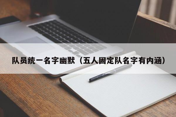 队员统一名字幽默（五人固定队名字有内涵）