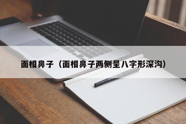 面相鼻子（面相鼻子两侧呈八字形深沟）