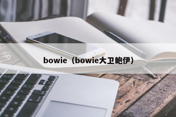 bowie（bowie大卫鲍伊）